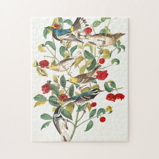 Warbler door John James Audubon Legpuzzel (Verticaal)