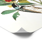 Warbler door John James Audubon Poster (Hoek)