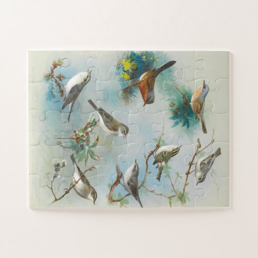 Warbler en Wrens, Legpuzzel (Horizontaal)