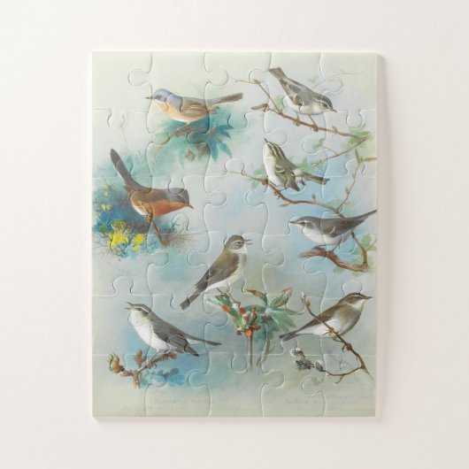 Warbler en Wrens, Legpuzzel (Verticaal)