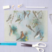 Warbler en Wrens, Tissuepapier (Craft)