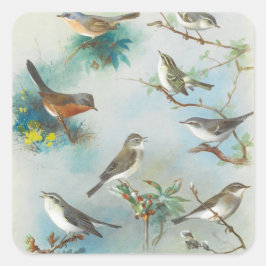 Warbler en Wrens, Vierkante Sticker