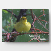 Warbler Fotoplaat (voorkant)