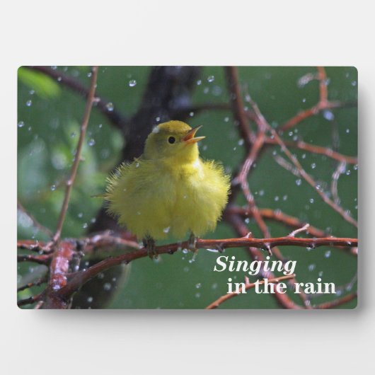 Warbler Fotoplaat (voorkant)