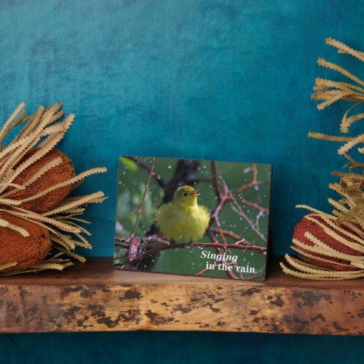 Warbler Fotoplaat (Zijkant)