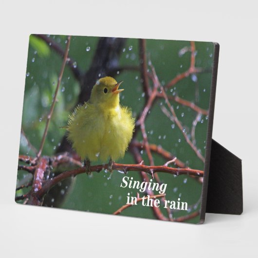 Warbler Fotoplaat (Zijkant)