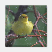 Warbler Magneet (Voorkant)