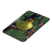 Warbler Magneet (Linkerzijde)