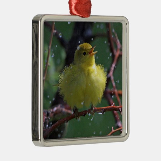 Warbler Metalen Ornament (Rechts)