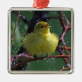 Warbler Metalen Ornament (Voorkant)