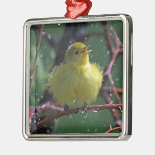 Warbler Metalen Ornament (Links)