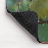 Warbler Muismat (Hoek)