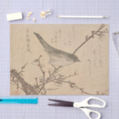 Warbler op Plum Branch door Kubo Shunman Tissuepapier (Craft)