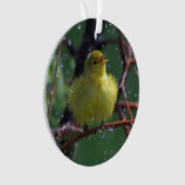 Warbler Ornament (voorkant)