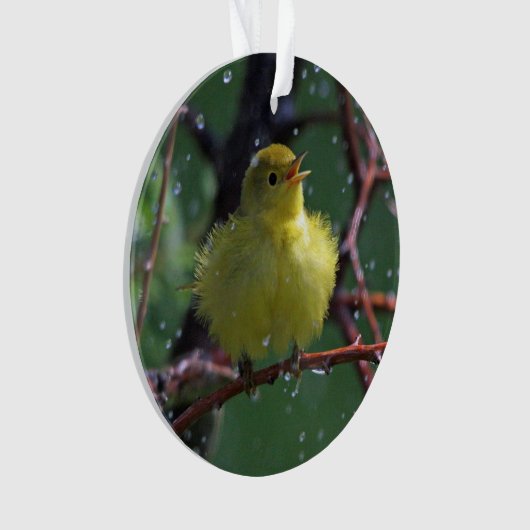 Warbler Ornament (voorkant)