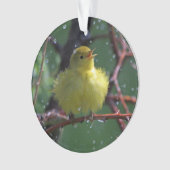 Warbler Ornament (voorkant)