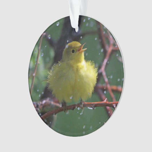 Warbler Ornament (voorkant)