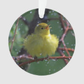 Warbler Ornament (voorkant)