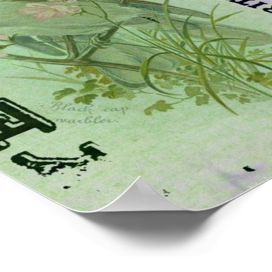 Warbler  poster (Hoek)