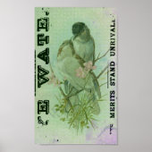 Warbler  poster (Voorkant)