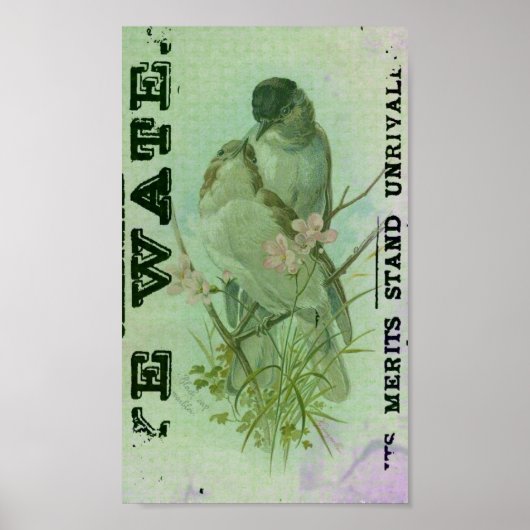 Warbler  poster (Voorkant)