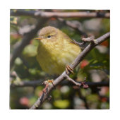 Warbler Tile/Trivet Tegeltje (Voorkant)