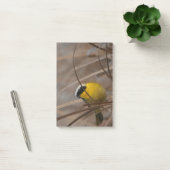 Warbler Wildlife Fotografie Post-it® Notes (Kantoor)