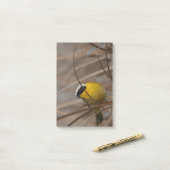 Warbler Wildlife Fotografie Post-it® Notes (Op bureau)