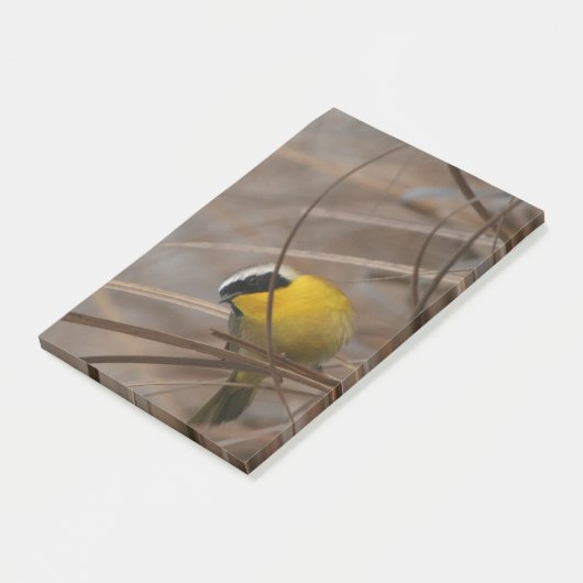 Warbler Wildlife Fotografie Post-it® Notes (Schuin)