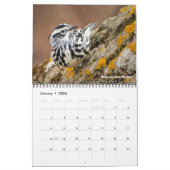 Warblers 12 maanden Muur Kalender 2026 (Jan 2026)