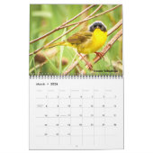 Warblers 12 maanden Muur Kalender 2026 (Mar 2026)