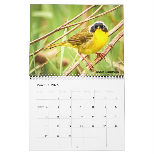 Warblers 12 maanden Muur Kalender 2026 (Mar 2026)