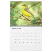 Warblers 12 maanden Muur Kalender 2026 (Feb 2026)