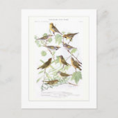 Warblers Briefkaart (Voorkant)