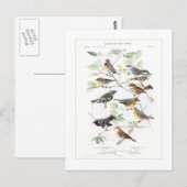 Warblers Briefkaart (Voorkant / Achterkant)