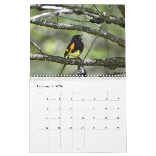 Warblers Kalender (Feb 2026)