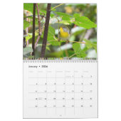 Warblers Kalender (Jan 2026)