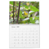Warblers Kalender (Jan 2027)