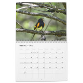 Warblers Kalender (Feb 2027)