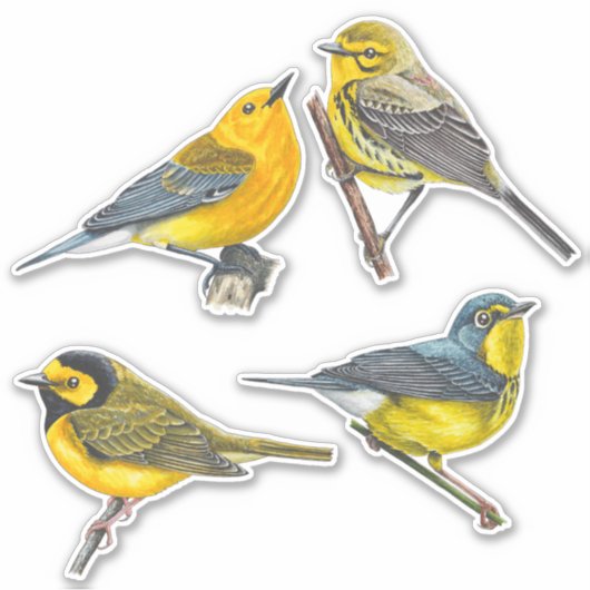 Warblers Stickers Value Pack (Voorkant)