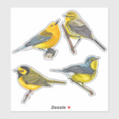 Warblers Stickers Value Pack (Vel)