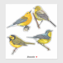 Warblers Stickers Value Pack