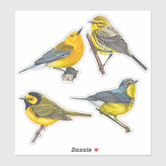 Warblers Stickers Value Pack (Vel)