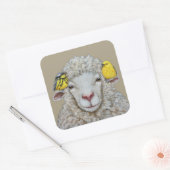 Warblers Warming vierkante stickers (Envelop)