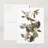 Warbling Flycatcher Kingbird  Audubon art Briefkaart (Voorkant / Achterkant)