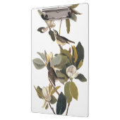 Warbling Flycatcher Kingbird  Audubon Klembord (Links)