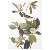 Warbling Flycatcher Kingbird  Audubon Klembord (Achterkant)