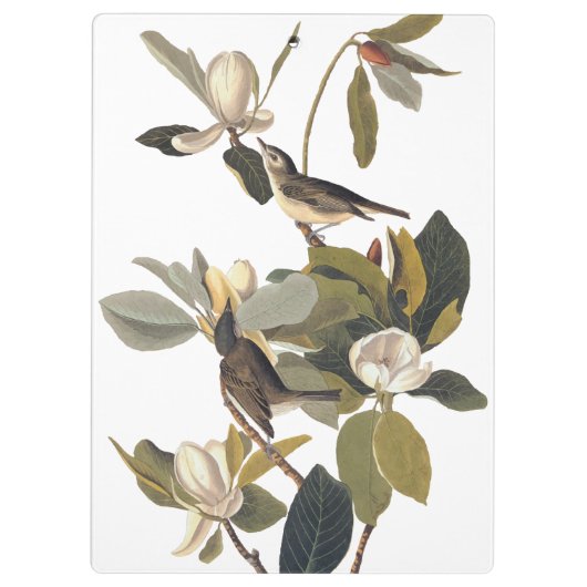 Warbling Flycatcher Kingbird  Audubon Klembord (Achterkant)