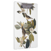 Warbling Flycatcher Kingbird  Audubon Klembord (Rechts)