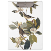 Warbling Flycatcher Kingbird  Audubon Klembord (Voorkant)